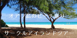 サークルアイランドツアー