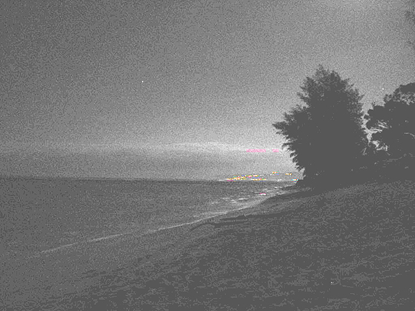 モクレイアの夜