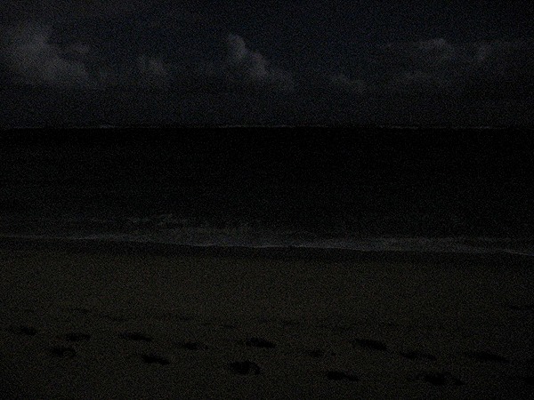 月夜の浜辺