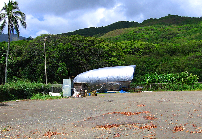 機首