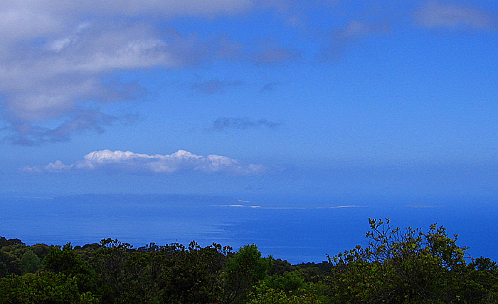 ニイハウ島