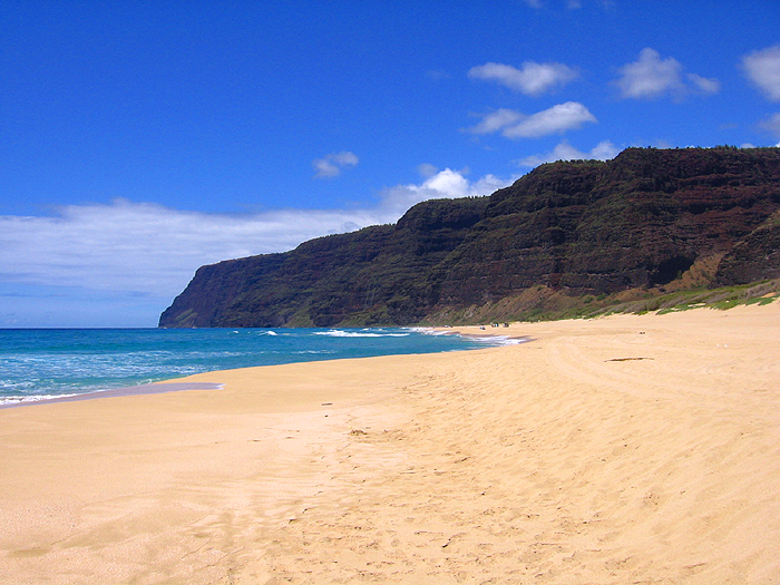 ポリハレビーチ５