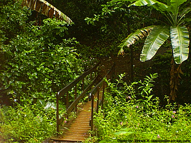 モレカ川の橋２００１