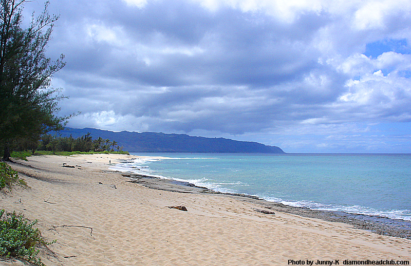 パパイロア