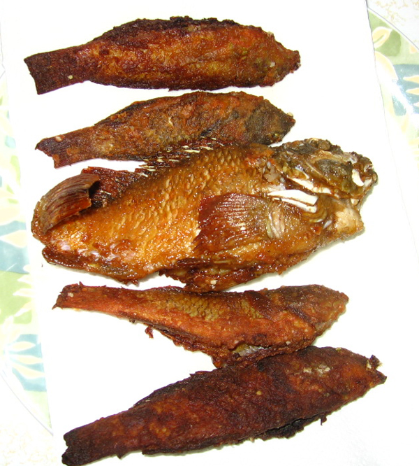 釣果のから揚げ