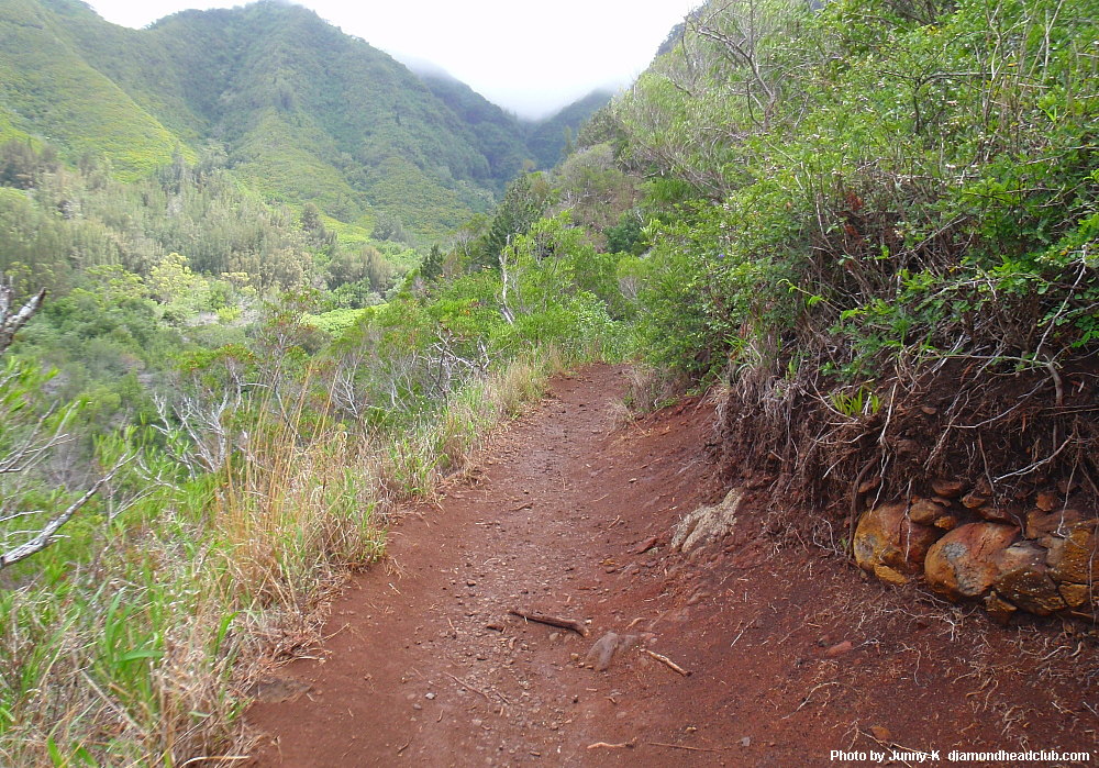 Kuliouou Ridge　Trail Oahu Hwaii 