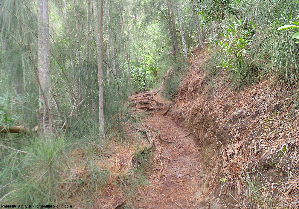 Kuliouou Ridge　Trail Oahu Hawaii  