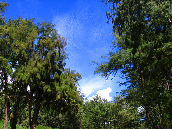 ワイマナロの空