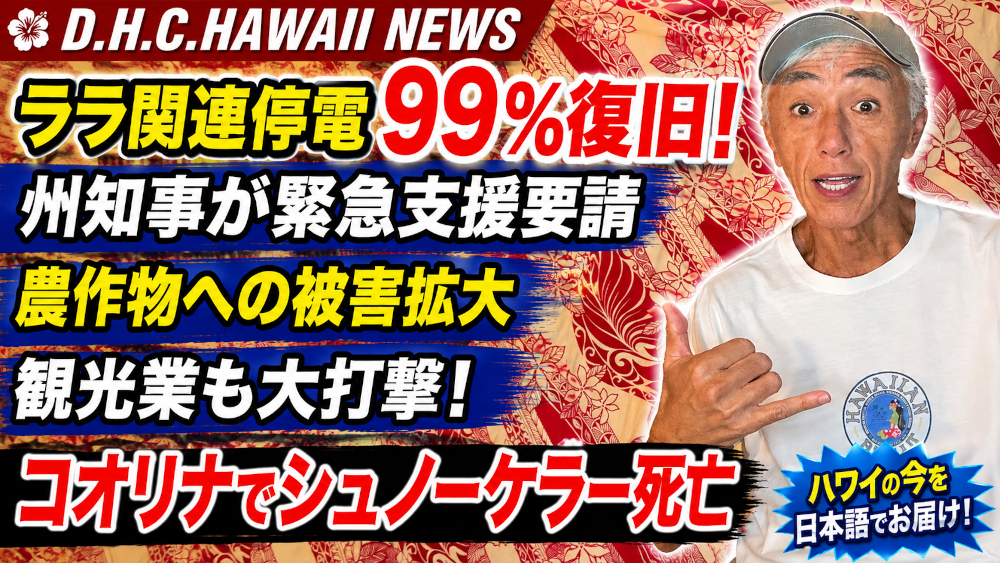 D.H.C. Hawaii NEWS 347