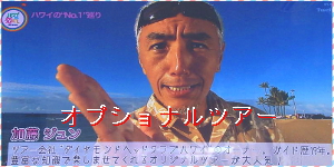 オプショナルツアー